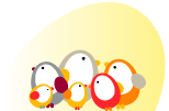  Group of NEST birds together under sun