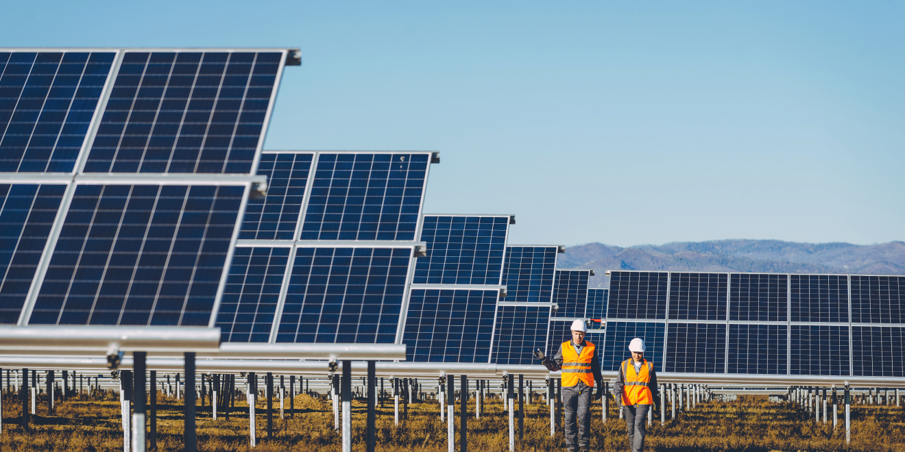 Two people in orange coats walking through solar farm