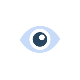 Icon of eye