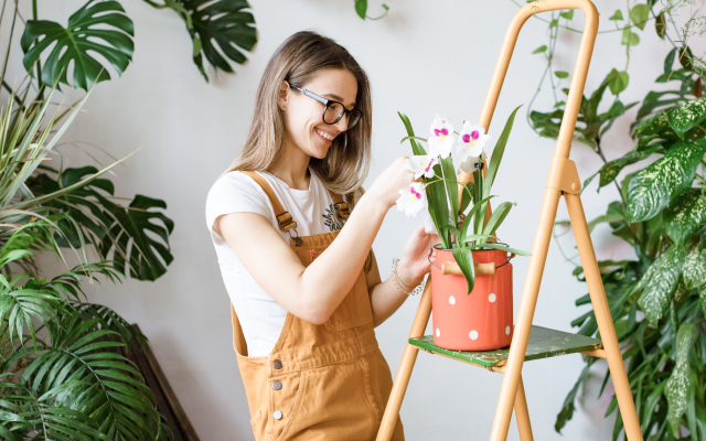 Woman proping a plant pot on a ladder