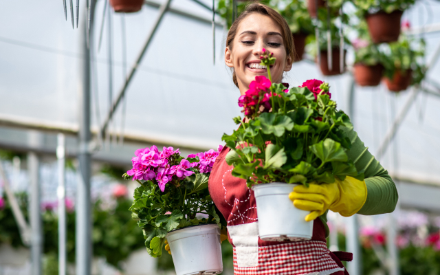 Woman with potted plants in hand