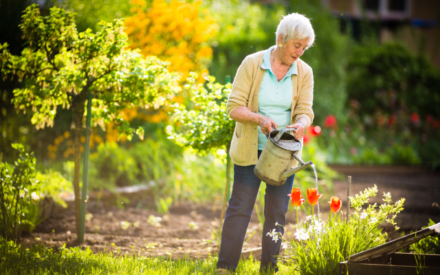 Woman watering plants