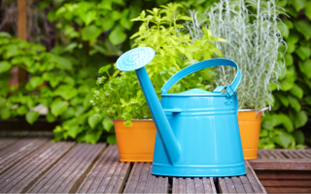 Blue watering can on a bench
