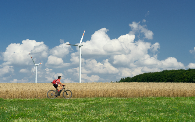 Windmills on a farm