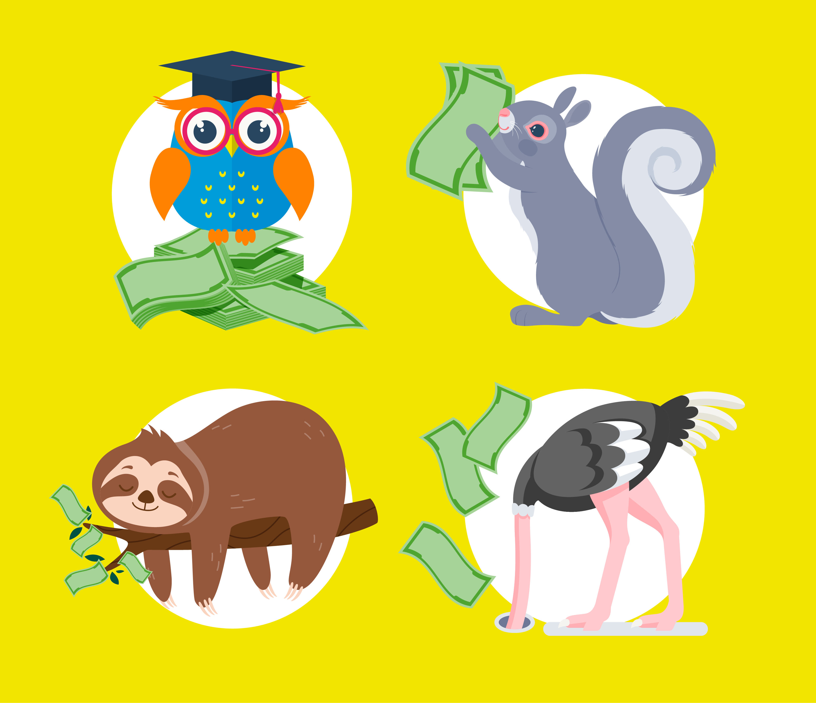 Left to right: Colourful illustrations of an owl, a squirrel, a sloth, and an ostrich